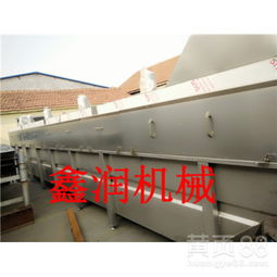 高效便捷，提升产能 立式家禽烫毛机在家禽初加工中的应用与优势