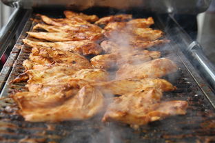 夏日烧烤盛宴 从家禽初加工到烤架上的美味蜕变