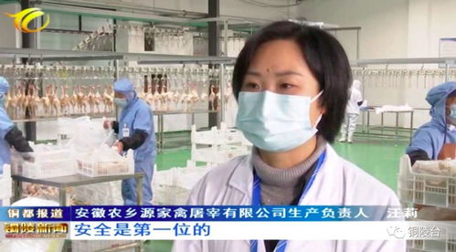 保供应，稳民生 铜陵标准化家禽加工企业提前复工促生产